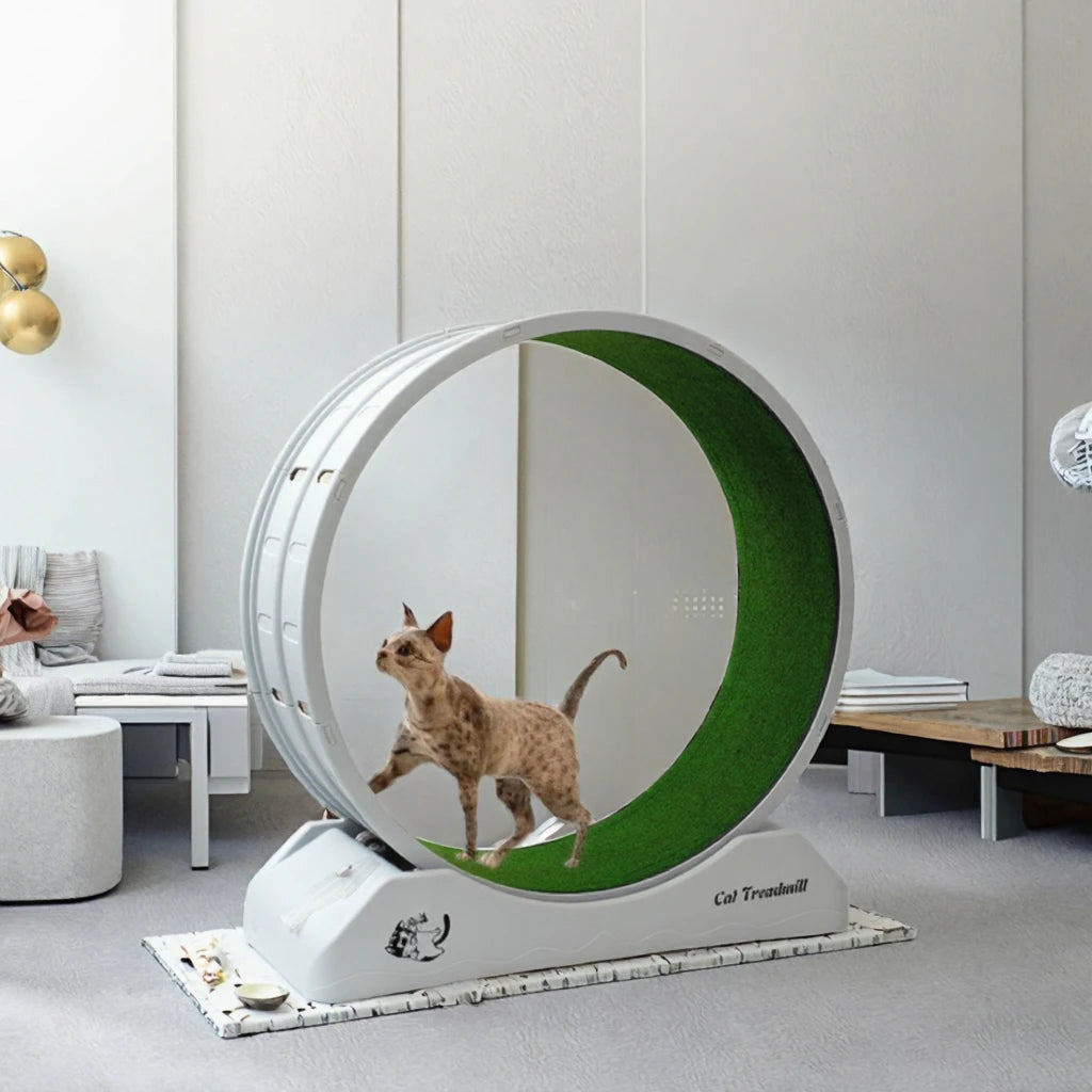 High Quality Modern Plastic Cat Treadmill Wheel Eco-Friendly Silent Exercise Equipment for Cat Interactive and Movement Toy